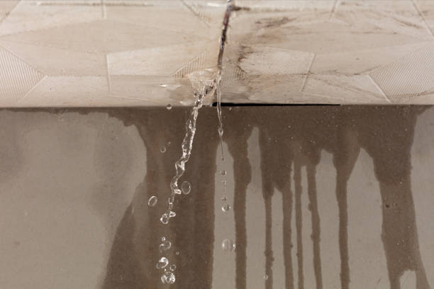 Professional Flood Damage Cleanup technician working in Plover, WI